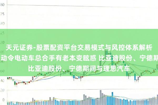 天元证券-股票配资平台交易模式与风控体系解析 瑞银：油价波动令电动车总合手有老本变眩惑 比亚迪股份、宁德期间与理思汽车