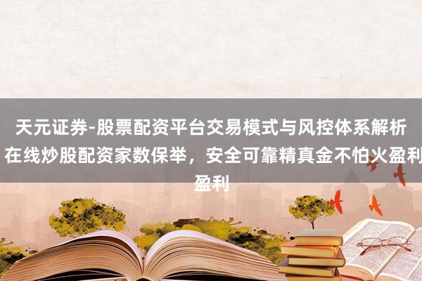 天元证券-股票配资平台交易模式与风控体系解析 在线炒股配资家数保举，安全可靠精真金不怕火盈利
