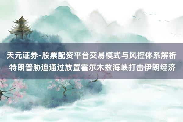 天元证券-股票配资平台交易模式与风控体系解析 特朗普胁迫通过放置霍尔木兹海峡打击伊朗经济