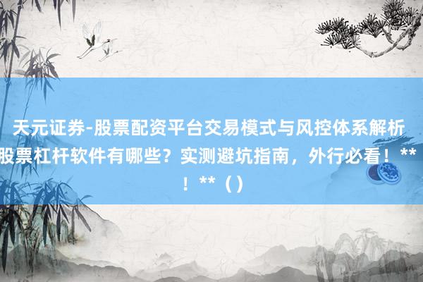 天元证券-股票配资平台交易模式与风控体系解析 **股票杠杆软件有哪些？实测避坑指南，外行必看！**（）